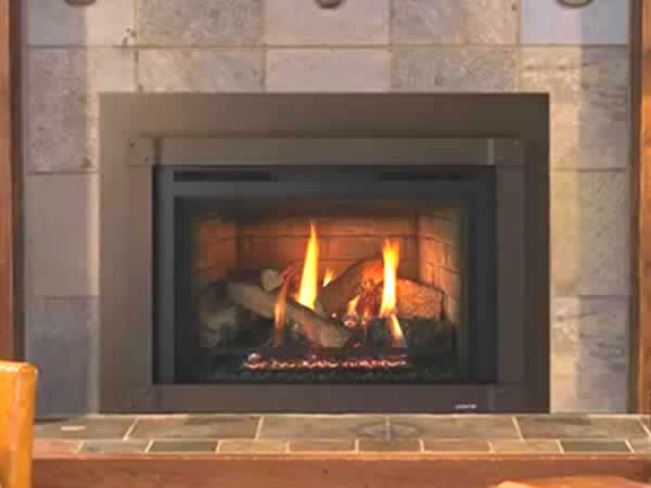 Fireplace-Insert_from-The-Place